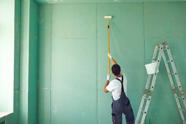 Best Real Estate Mold Inspection  in San Elizario, TX