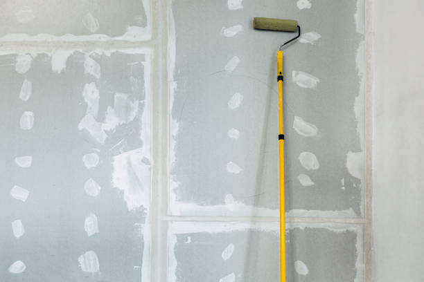 Best Basement Mold Removal  in San Elizario, TX