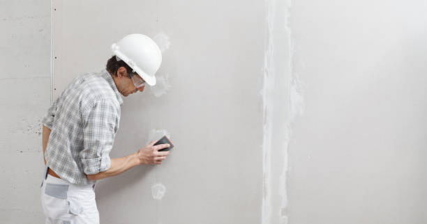 Biohazard Mold Removal in San Elizario, TX