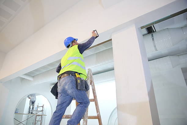 Best Basement Mold Removal  in San Elizario, TX
